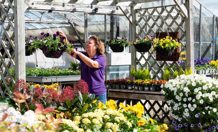A woman who is a staff member at a garden centre places a variety of fresh roses, daisies, tulips, and lilies into a wicker basket, skillfully blending their vibrant colours and unique shapes to create a stunning floral arrangement.